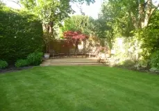 P1000929