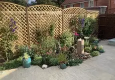 image00013