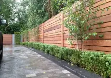 contemporary cedar fence, Indian Sandstone Paving and planting - Balham